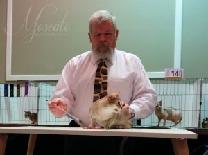 Ring 3 Judge Paul Patton 2-14-15